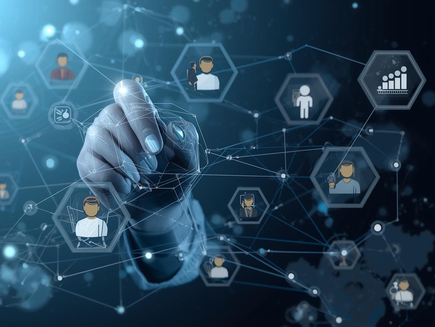 Project Management & Execution Support