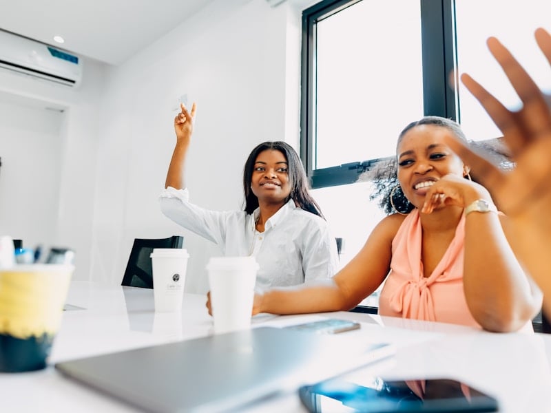 Project Management & Execution Support